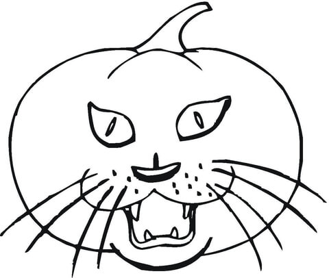 Online coloring book: Pumpkin cat coloring book